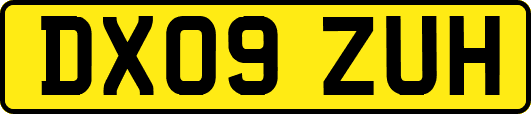 DX09ZUH