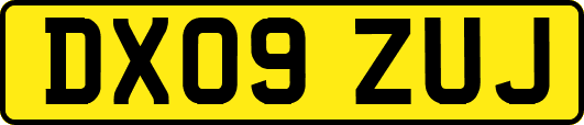 DX09ZUJ
