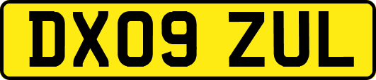 DX09ZUL