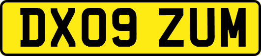 DX09ZUM