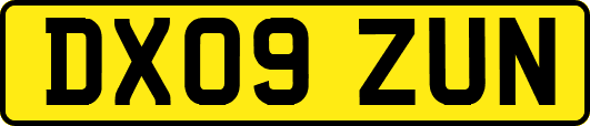 DX09ZUN
