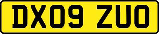 DX09ZUO