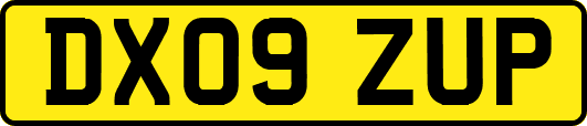 DX09ZUP