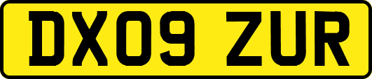 DX09ZUR
