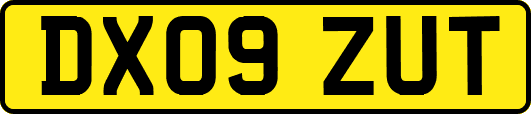 DX09ZUT