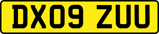 DX09ZUU