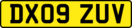 DX09ZUV