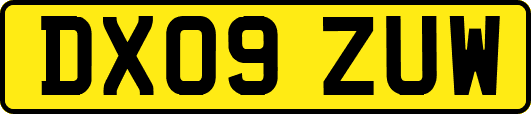 DX09ZUW