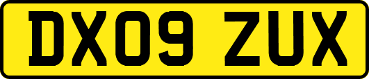 DX09ZUX