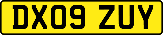 DX09ZUY
