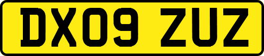 DX09ZUZ