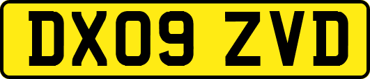 DX09ZVD