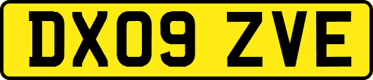 DX09ZVE