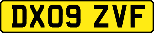 DX09ZVF