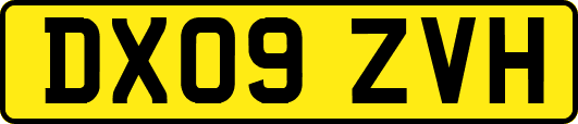 DX09ZVH