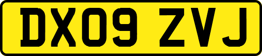 DX09ZVJ