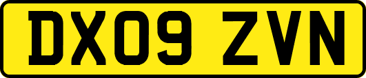 DX09ZVN