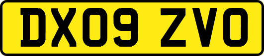 DX09ZVO