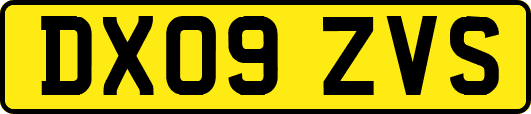 DX09ZVS