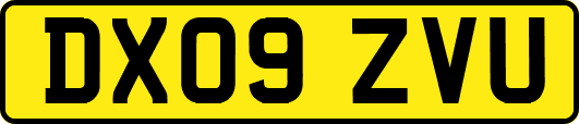 DX09ZVU
