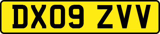 DX09ZVV