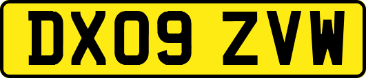 DX09ZVW