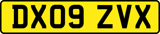 DX09ZVX