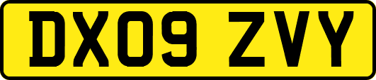 DX09ZVY