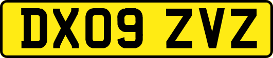 DX09ZVZ
