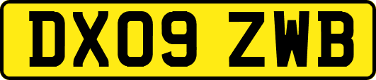 DX09ZWB