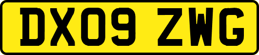 DX09ZWG