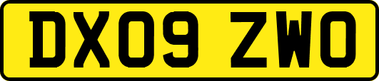 DX09ZWO