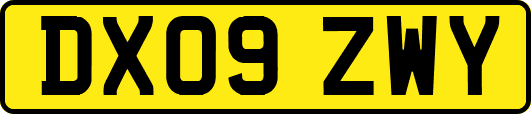 DX09ZWY