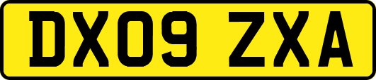 DX09ZXA