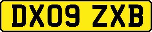 DX09ZXB