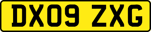 DX09ZXG