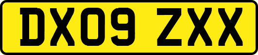 DX09ZXX