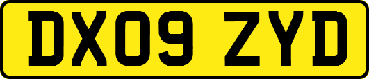 DX09ZYD