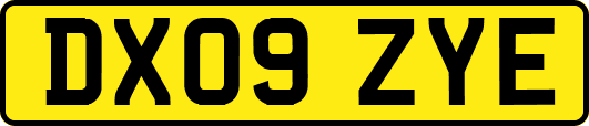 DX09ZYE