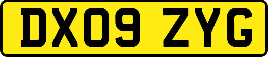 DX09ZYG