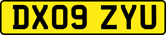 DX09ZYU