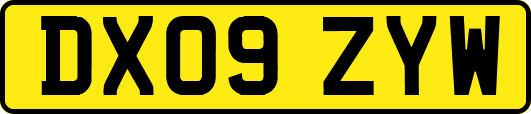 DX09ZYW
