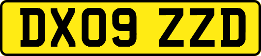 DX09ZZD