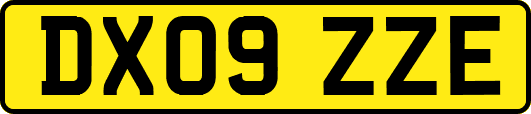 DX09ZZE