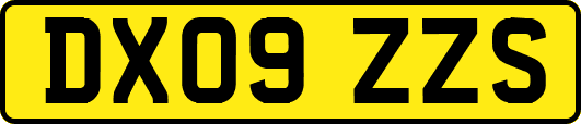 DX09ZZS