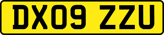 DX09ZZU