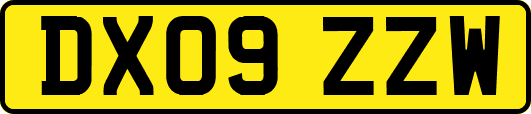DX09ZZW