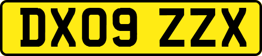 DX09ZZX