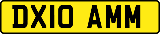 DX10AMM