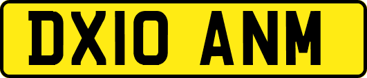 DX10ANM